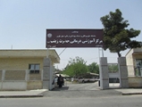 اضافه شدن یک دستگاه سونوگرافی به بخش IVF مرکز آموزشی درمانی حضرت زنیب (س) به مناسبت هفته دولت